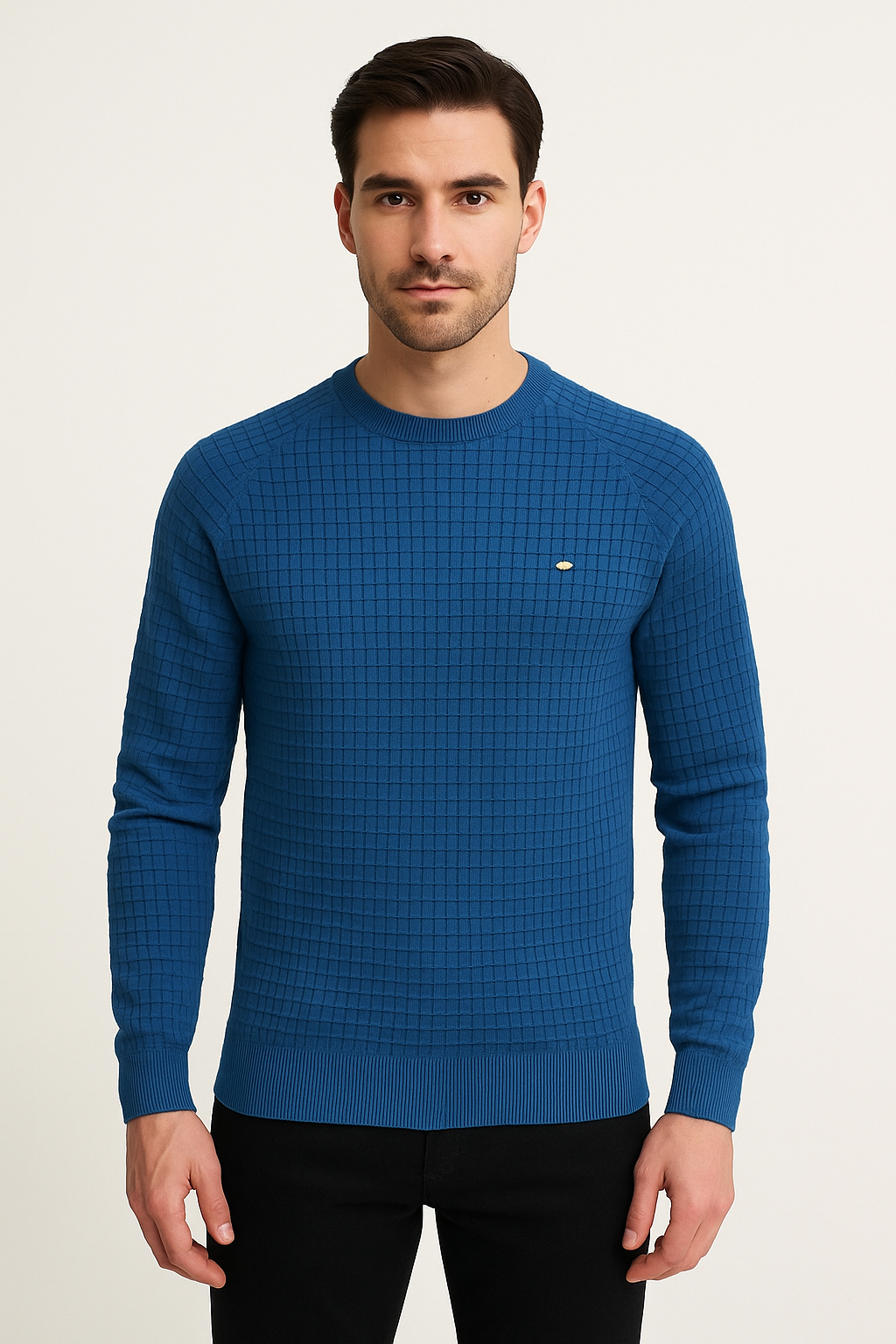 Alrikus | Sweatshirt met ronde hals en textuur