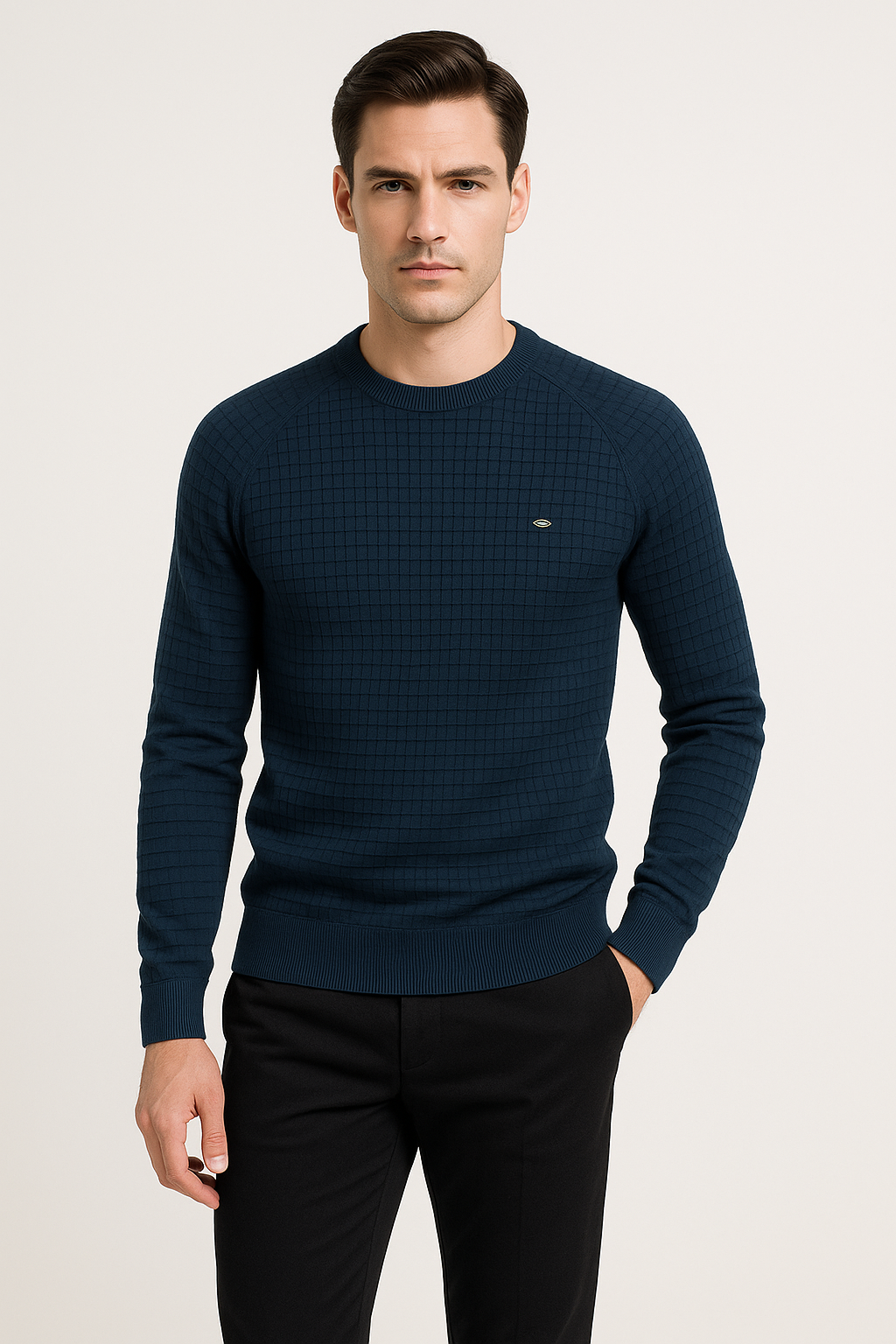 Alrikus | Sweatshirt met ronde hals en textuur